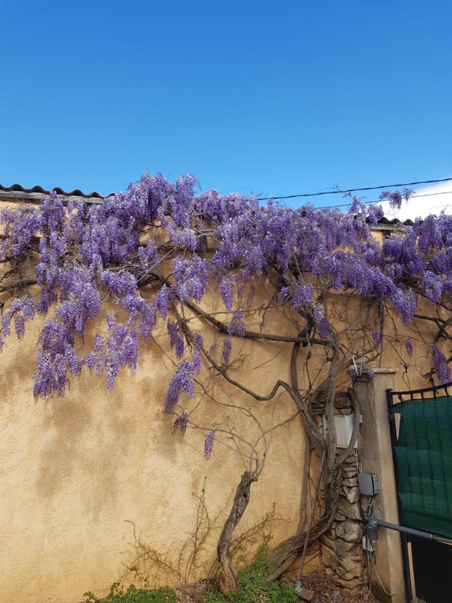 Appartement Cap au Sud-Grand Large 35m2 à Nîmes Extérieur photo