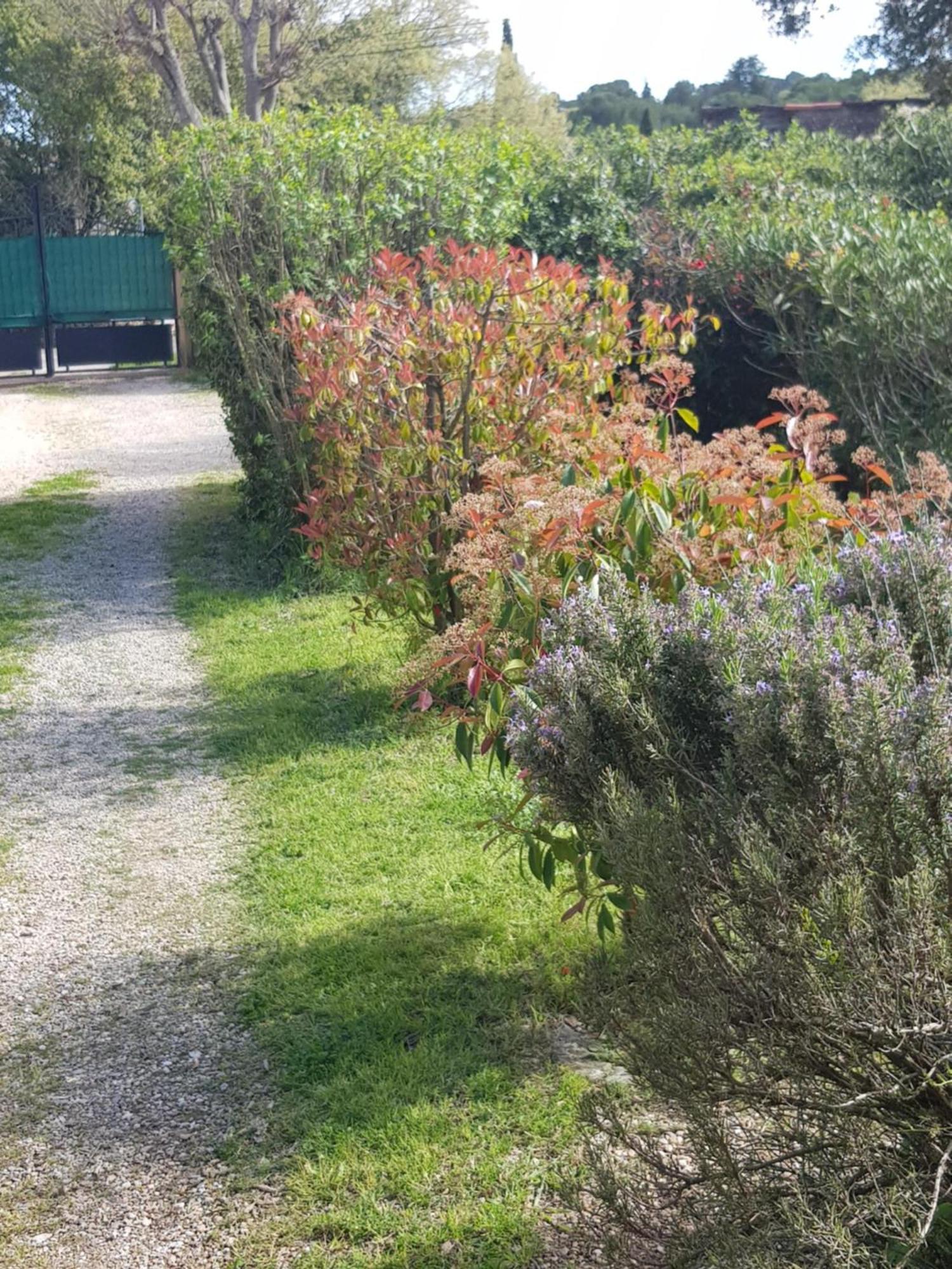 Appartement Cap au Sud-Grand Large 35m2 à Nîmes Extérieur photo