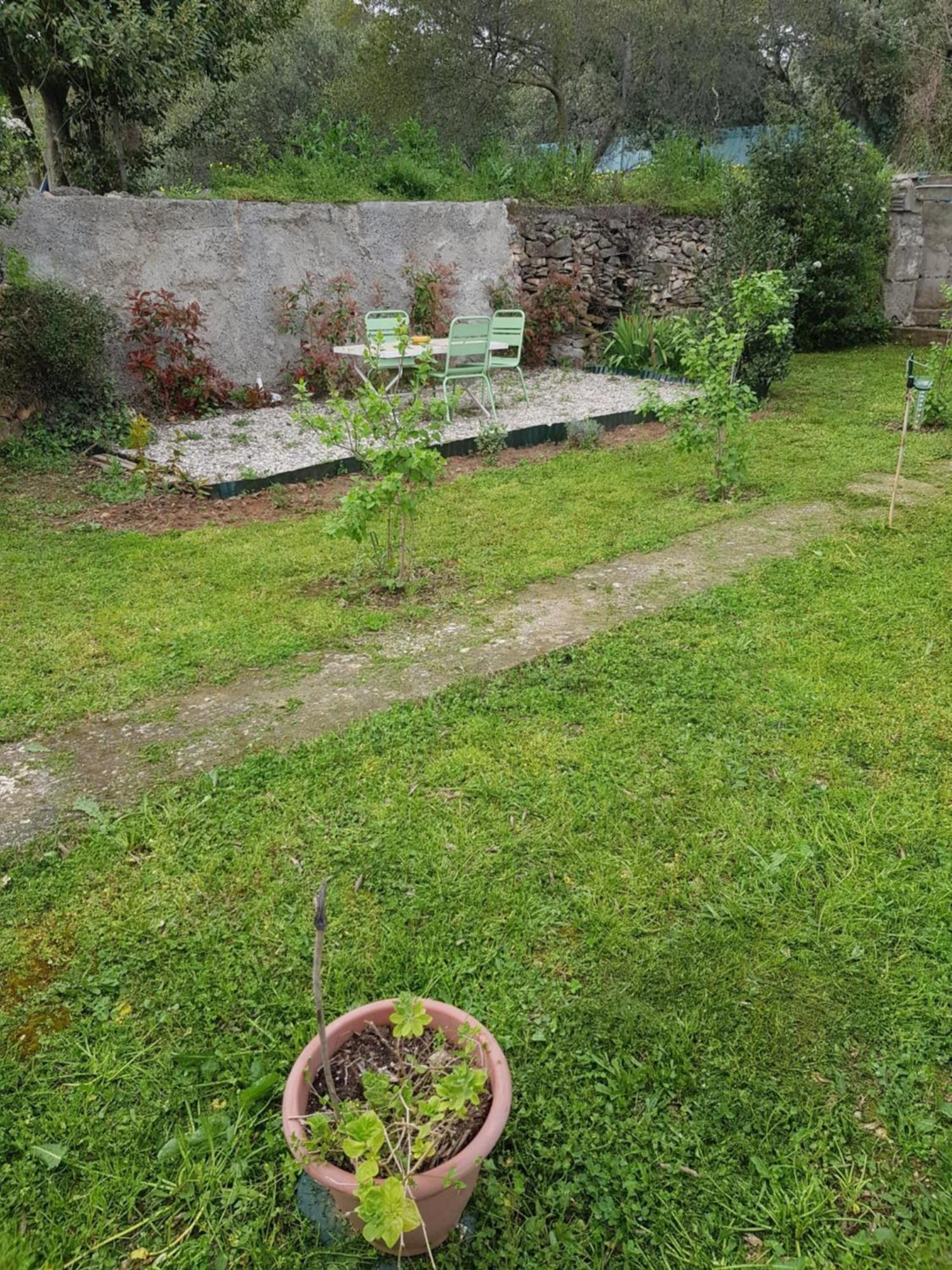 Appartement Cap au Sud-Grand Large 35m2 à Nîmes Extérieur photo