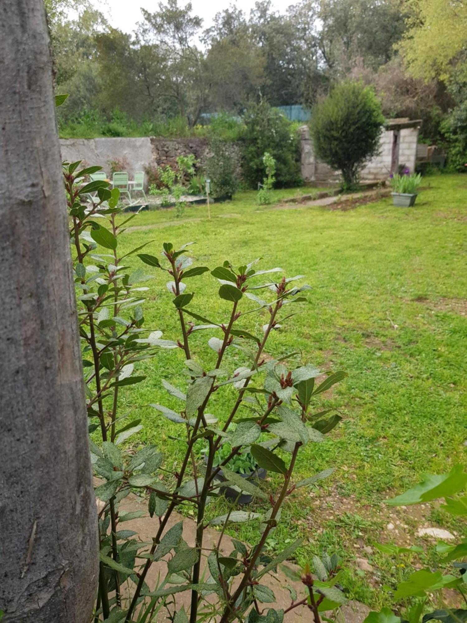 Appartement Cap au Sud-Grand Large 35m2 à Nîmes Extérieur photo