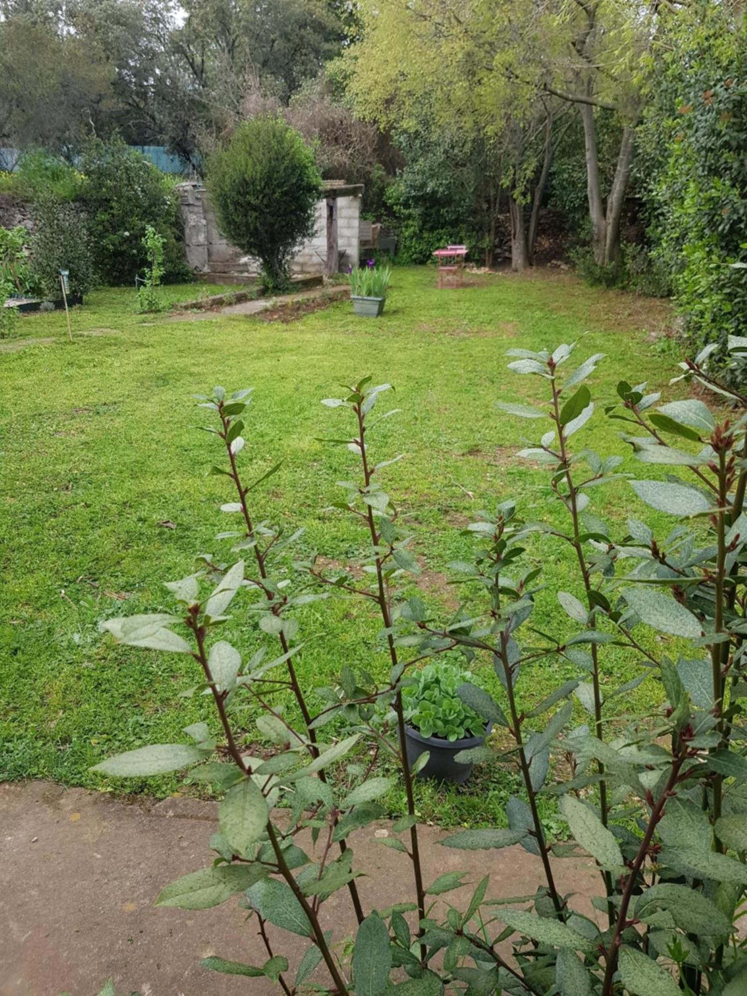 Appartement Cap au Sud-Grand Large 35m2 à Nîmes Extérieur photo
